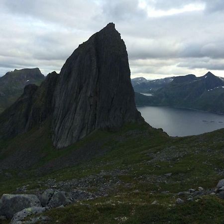 Fjordgard Leilighet A ภายนอก รูปภาพ